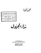 Nedaa almaghoul.pdf