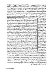 الصفحة التالية &larr;