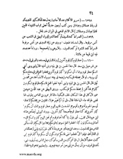 الصفحة التالية ←