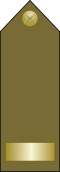 EgyptianArmyInsignia-ChiefWarrantOfficer.svg