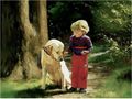 Donald Zolan s Oil Paintings (5).jpg