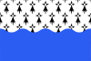 علم Morbihan