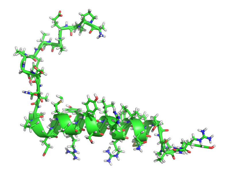 ملف:Pancreatic hormone 1TZ5.png