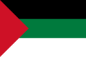 علم الحجاز