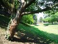 Sittard 040.JPG