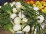 Sweet onions 1.jpg