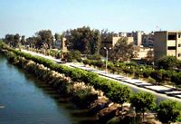 أبو حمص.jpg