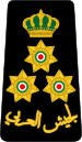 14. JLF-BG.svg