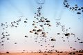 Mass drop paratroopers Bright Star 1981.jpg