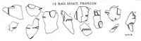 Drawing of inscribed fragments of granite