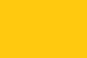 ملف:Flag of Ayyubid Dynasty.svg