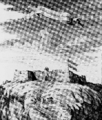 حصن باتنشتين