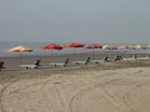 Kuakata beach at morning.jpg