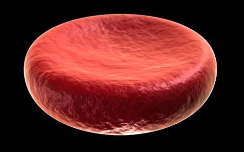 RedBloodCell Rogeriopfm.jpg