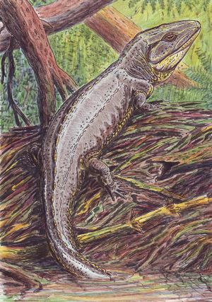 Proterogyrinus DB.jpg