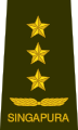 Lieutenant general[46] (الجيش السنغافوري)