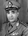 عبد المنعم رياض
