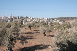 فقوعة من الجنوب