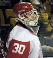 Hockey Helmet - Goalie