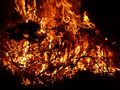 Fire from loppings.JPG