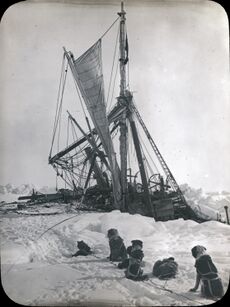 A line of seated dogs looks at a wrecked tangle of masts, rigging and sails