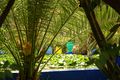Maroc Marrakech Majorelle Luc Viatour 9.jpg