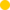 Gold medal blank.svg