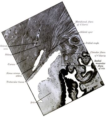 Gray870 rotated.jpg