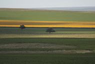 The Pampas near to the Sierras de Córdoba.