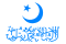 Flag of the First East Turkestan Republic.svg