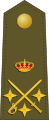 Teniente general[48] (الجيش الإسپاني)