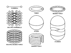 A torus expanding from interconnected bolas or dumbbells