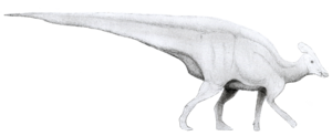 Tlatolophus galorum.png
