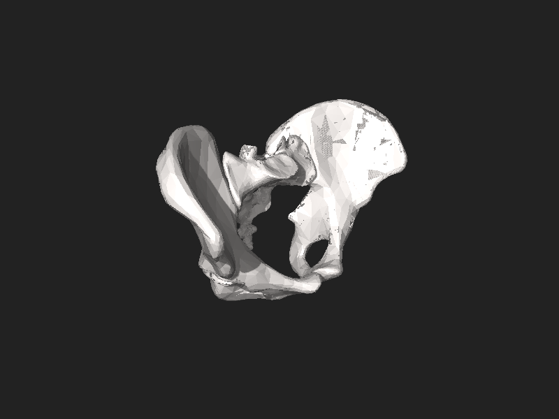 ملف:BodyParts3D Pelvis.stl