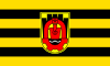 Flag of Pernik Province