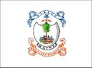 Flag of the 1st Maine Militia from 1822 to 1861