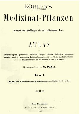 Koehlers titel.jpg