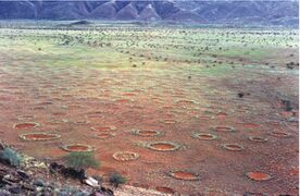 Fairy circles in the Marienflusstal area in Namibia