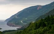 First View (205313460).jpg