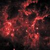 Stellar Grouping in Cygnus X.jpg