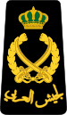 18. JLF-FM.svg