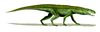 Gracilisuchus BW.jpg