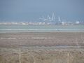 Limassol Salt Lake 11.JPG