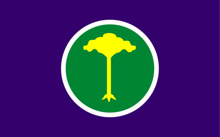 ملف:Bandeira SaoCarlos SaoPaulo Brasil.svg