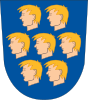 درع Nurmijärvi