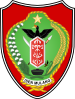 درع كليمنتن الوسطى
