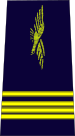 رائد