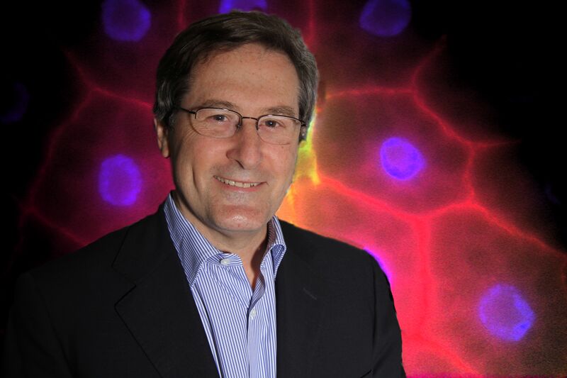 ملف:Michael N Hall.jpg