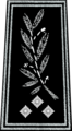 Inspecteur général (Inspector General) This is the equivalent of a Deputy Chief Constable or Assistant Commissioner/Deputy Commissioner in London.
