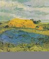 An orange haystack painted by Van Gogh shortly before his suicide. (1890).